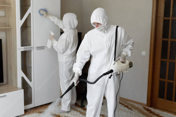 24/7 Emergency Odor Removal experts in Huntington, NY
